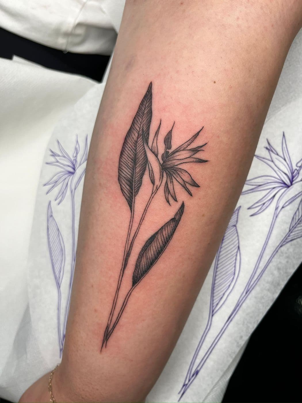 Tattoo by Laura Almada, ZECARTE TATTOO, Funchal